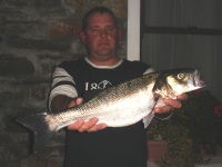 hans-first-bass