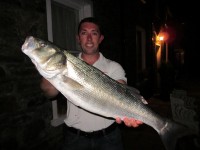 mark-johns-bass-august-2011