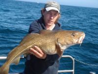 near-specimen-cod