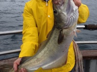 angling-2013-014
