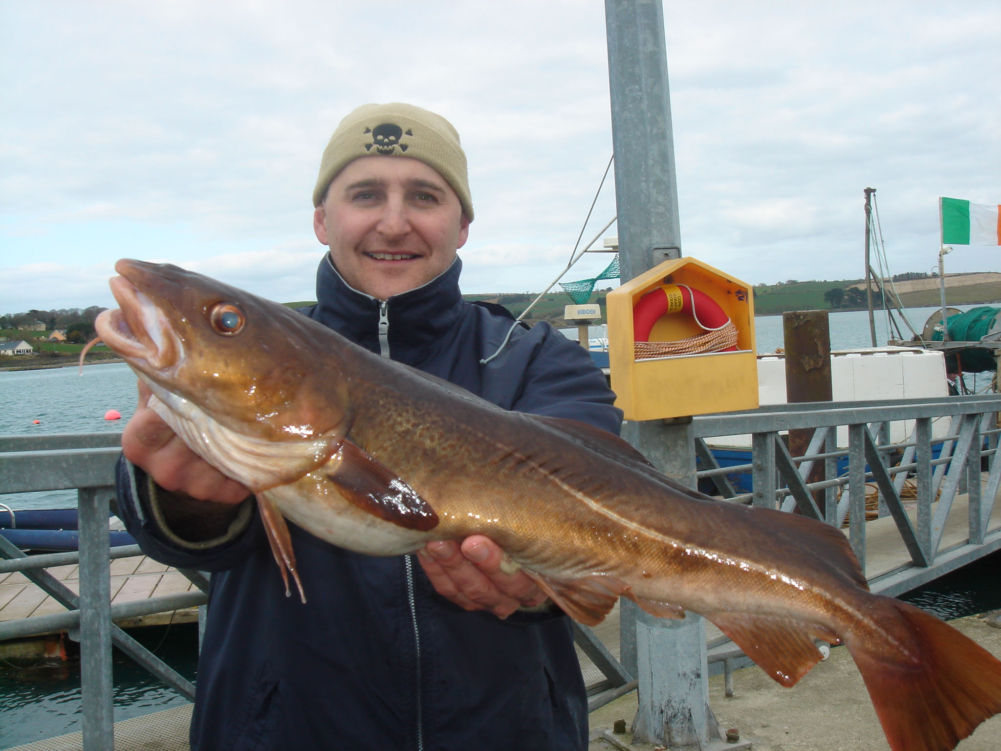 st patricks day cod