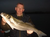franks-first-bass