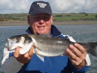 jean-claude-bass-2010