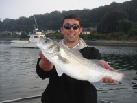 mjs-bass