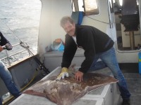 berts-big-skate-151cm-and-191cm-length_0