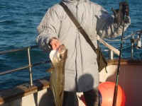 catch-of-the-day-nov-2010-pierre-jos-group