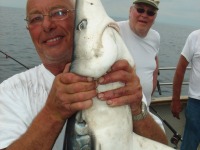 chris-shark-2010_0