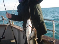 nice-fish-pierre-jos-group-2010