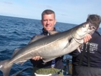 derek-specimen-coalfish-1