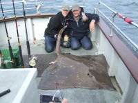 dutch-anglers-with-a-skate-of-aprox-170lbs