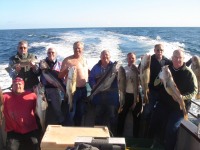 dutch-anglers-with-cod-and-specimen-coalfish-2008