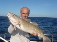 frank-fitz-cod