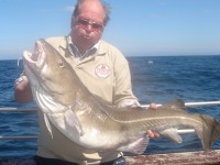 franz-specimen-cod