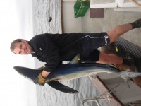 glen-with-shark