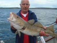 nice-cod-for-chris-gerrits_0