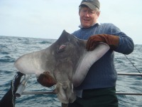 paddy-with-his-common-skate-40lbs-aprox
