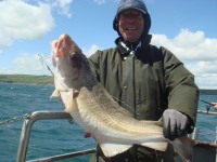Nice Courtmacsherry Cod for Theo Kelchtermans from Belgium.